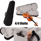00707 Unbranded 4-4 Violin Full 902204900707