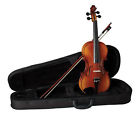 00717070119388 Becker Violin O-f Stn