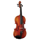 00736021531185 No Brand Becker Viola