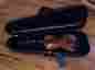 0123 Ellisandro Violin W Glasser Fiberglass Bow And Zippered Core Case
