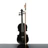 094655381881 Unbranded Acoustic New Beginner Practice Violin Style Case
