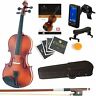 1-4mv300 Sr Tn7 Fb1 Mendini By Cecilio Violin For Kids And 847848013195