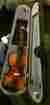 110vn44-1 110vn Sebastian Violin 4