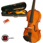 1129-1-2v Rossetti Solid Wood Size Student Violin With Case Bow And