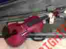 1401 Stentor Brand New Violin Harlequin Series 3 4 C Pk Rasberry Pink Color