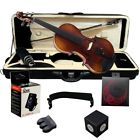 1527241 Brown Intermediate Violin Outfit Bow Case Maple Wood 789971527241