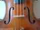 1860-70 Lab Rare Circa Antique French Violin 4 Vuillaume