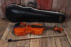 260 Strunal 4-4 Violin Solid 859056403620
