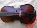 28175 Free Quality Lowest 1 8 Shipping Price Violin 28175 Free Quality Lowest 1 8 Shipping Price Violin