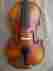 28245 East Strings New 1 8 Violin One Piece Back Plate Free Shipping