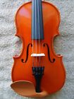 28343 East Strings New Violin One Piece Back Plate