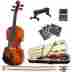 2cvn-300 1 Cecilio Size 2 Ebony Fitted Orchestra Violin Shoulderrest Case 847848001529