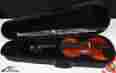 31285 Model Amati S Amatis 100 4 Violin Outfit W Hfc Spruce Top Maple B New