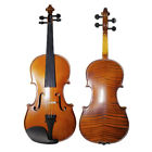 3500 Strumenti Solid Body Strument Corde Violin Spruce Maple