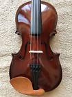 35224 East Strings New Violin Lowest Price Best Quality