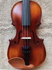 35231 East Strings New Violin Lowest Price Best Quality