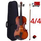 37996 Acoustic Violin With Case Music Rosin White Horse 745528537996