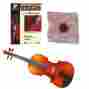 3k-34-13 Knilling Europa Violins 3 4 Size Violin Outfit 3k With Accessory Pack 13 711436607731