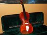 Nv-40 4-4 Jz New Handmade Pro Full Size Violin Case Wood Bow
