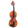 Yd-sy-36532206 4/4 Spruce Panel Violin Side Plate Rectangular Case Octagonal Prism Bow