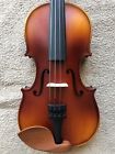 42056 East Strings New Violin Lowest Price Best Quality