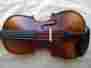 4774 East Strings New 1 2 Violin Lowest Price Best Quality Free Shipping