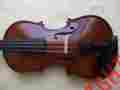 4802 East Strings New 1 2 Violin One Piece Back Plate Free Shipping