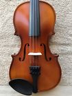 49112 East Strings New Violin One Piece Back Plate