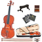 4cvn-200 Size 4 Case Cecilio Violin Solidwood 1 Shoulderrest Boxwood