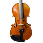 511234 Calin Waltur Wultur Koscielny Violin
