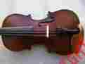 5446 East Strings New 3 4 Violin Lowest Price Best Quality Free Shipping