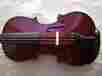 56476 East Strings New 4 Violin One Piece Back Plate Free Shipping