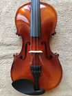 56721 East Strings New Violin One Piece Back Plate 56721 East Strings New Violin One Piece Back Plate