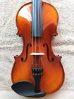 56756 East Strings New Violin One Piece Back Plate