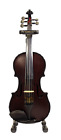 5sccvn 5 String Carbon Fiber
