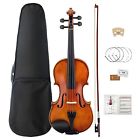 6011100100 Mugig Violin For Beginner Concerto With Case Strings Violi