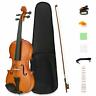 6011102000ue Lagrima Size Acoustic Violin Starter Kit Case Bow 618952758230