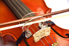603338739477 L Ms Lms Violin