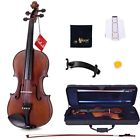 611677855352 Aileen Solidwood Ebony Violin