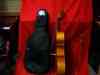 63360 Bow Englehart 4 Usa Model Cello Bag 120