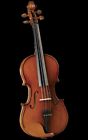 Hv-500 688382024397 Undisclosed Cervini Novice