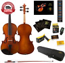 705353303005 Glory Violin With Case Shoulder Rest Bow Rosin