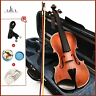 708257400849 Zuwei Violin Strings Full Set Stringed Musical Instruments