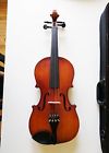7194 Meisel Viola 15 1-2