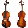 745313278356 Paititi Full Size Solid Wood Ebony Fitted Violin