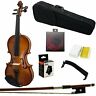 745313278431 Paititi Full Size Student Violin Starter Kit With
