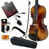 745313292147 Sky Paititi Size Solid Wood Student Violin Complete