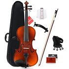 749110377120 Acoustic Violins Solidwood Ebony