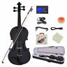 781232688708 Glarry Solid Wood Eq Violin Case Bow Strings