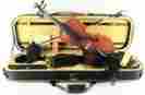 80-new Samuel Eastman Strings 4 Violin Vl Brazilwood Bow-new Deluxe Oblong Case